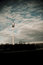 Free Donau Tower Royalty Free Stock Photo - 7937145