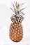 Free Pineapple Royalty Free Stock Images - 7938459