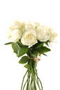 Free Rose Stock Photo - 7942870