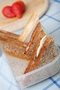 Free Fresh Egg Sandwiches In A Lunch Box Stock Photography - 7942962