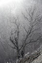 Free Mystic Place Royalty Free Stock Images - 7945379