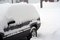 Free Snow Storm Stock Image - 7942781