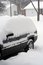 Free Snow Storm Royalty Free Stock Photo - 7942785