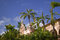 Free Balboa Park Palm Trees Stock Photography - 7943122