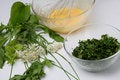 Free Cracked Eggs And Fresh Herbs In Bowls Royalty Free Stock Images - 7950219