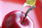 Free Red Apple Royalty Free Stock Photos - 7958938