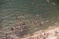 Free Aerial Photograph Fishers Boats In The Water In  Royalty Free Stock Image - 7963446