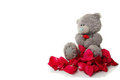 Free Teddy With Petals Royalty Free Stock Photography - 7968297