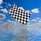 Free Waving A Checkered Flag Stock Photo - 7963820