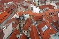 Free Roofs Of Prague Stock Image - 7975811
