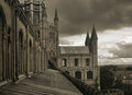 Free View From The Tower Of Ely Cathedral Royalty Free Stock Images - 7976699