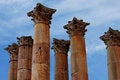 Free Temple Of Artemis Royalty Free Stock Photography - 7978577