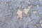 Free Grey And Creamy Grunge Background Royalty Free Stock Photo - 7971835