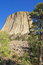 Free Devils Tower National Monument, Wyoming Stock Image - 7976331