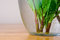 Free Fresh Flower Stems In Vase. Stock Image - 7976731