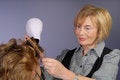 Free Attractive Older Lady Hair Stylist Stock Photos - 7980433