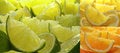 Free Citrus Fruit Collection Royalty Free Stock Photos - 7982978