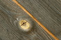 Free Rough Wood Royalty Free Stock Images - 7984009