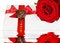 Free Love - Red Rose With Heart And Reflection Stock Photos - 7985853