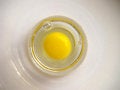 Free Raw Yolk Royalty Free Stock Photos - 7995408