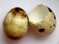 Free Raw Yolk Royalty Free Stock Photos - 7995488
