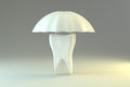 Free Tooth Protection Royalty Free Stock Photos - 7995808