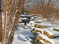 Free Snowy Stream Royalty Free Stock Photography - 7996237