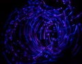 Free Neon Lights In The Dark Royalty Free Stock Photo - 7996695
