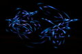 Free Neon Lights In The Dark Stock Photo - 7996740