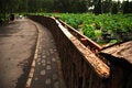Free Curve Fence Royalty Free Stock Image - 7997176