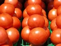 Free Yummy Tomatoes Stock Photos - 7998123