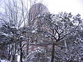 Free City In The Snow. Royalty Free Stock Photo - 83855