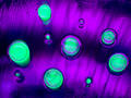 Free Glowing Green Bubbles Water Drops Royalty Free Stock Images - 88769