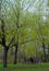 Free Man In The Park Royalty Free Stock Photography - 85057