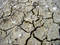 Free Cracked Mud With Shells Stock Image - 86611