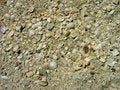 Free Washed Ashore Royalty Free Stock Photo - 803265