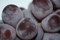 Free Grape Macro Stock Images - 805224