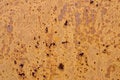 Free Metal Plate Royalty Free Stock Image - 809506