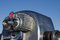 Free Tourist Binoculars 1 Royalty Free Stock Photo - 806925