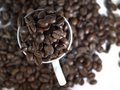 Free Mug Of Coffee Beans Royalty Free Stock Photo - 8011025