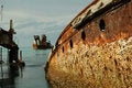 Free Rusty Wrecks In The Sun Royalty Free Stock Image - 8013166