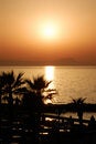 Free Sunset And Palms Stock Photo - 8017090