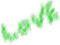 Free Rice Crop Royalty Free Stock Photo - 8018545
