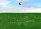 Free Golf Ball Flying Royalty Free Stock Photos - 8018668