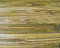Free Natural Wooden Patterns Royalty Free Stock Photography - 8018927