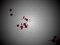 Free Bloodsplats On The Wall Stock Photos - 8019413