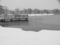 Free Winter Pond Stock Photography - 8022232