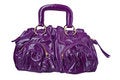 Free Bag Royalty Free Stock Image - 8023616