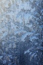 Free Frost-work Stock Photography - 8027472