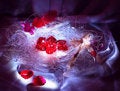 Free Hearts Are In A Nest Royalty Free Stock Photography - 8033567